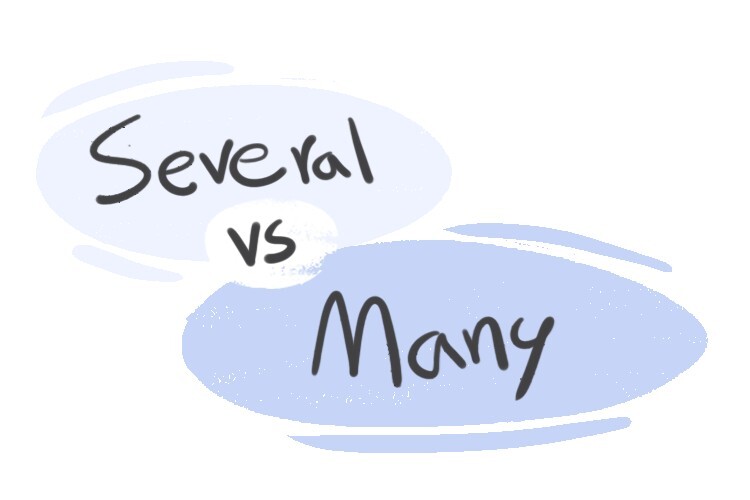 Several vs. Many in the English Grammar